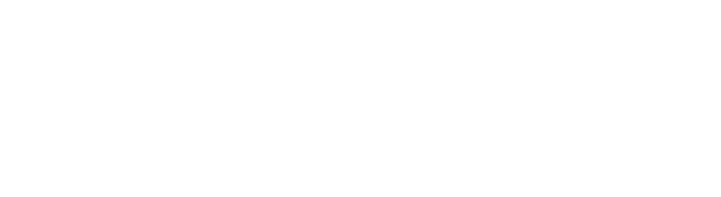 ROLIN Media Logo